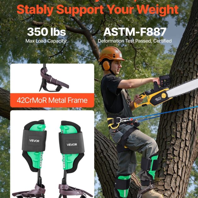 Security & Safety